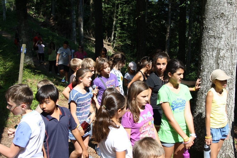 Village Camps International Summer Camp Leysin, Switzerland 2026-08-15 https://www.villagecamps.com/journals_admin/images/691-23-Big Yellow (124).jpg
